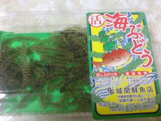 2008/4/3 海ぶどう